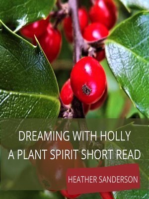 cover image of Dreaming with Holly